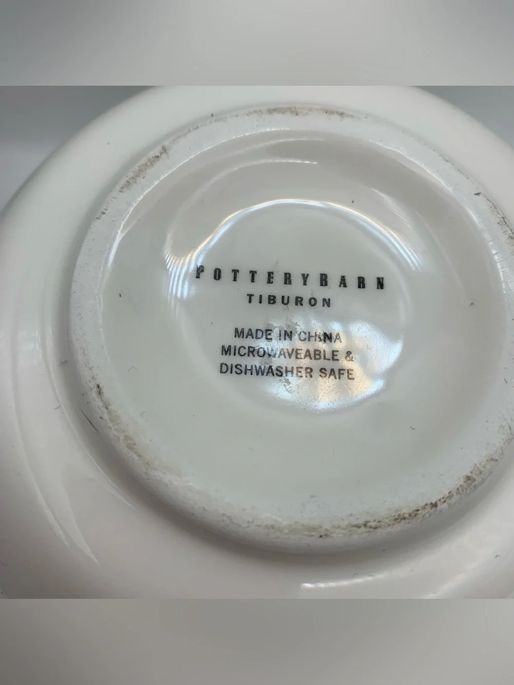 Pottery Barn Tiburon Blue Dots Leaves set of 2 Coupe Soup Cereal Bowls